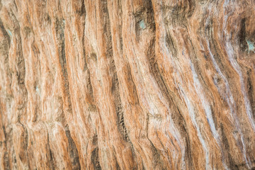 Wooden texture background