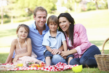 Fototapeta premium Family Enjoying Picnic Together