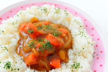 おいしそうなカレーライス