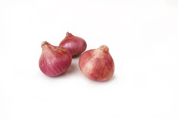 red onion group