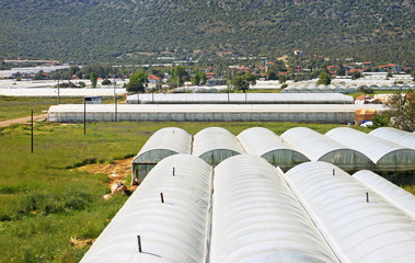 Fototapeta premium Glasshouses with plastic near village in Turkey