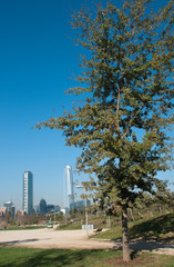 parque bicentenario in vitacura, santiago del cile