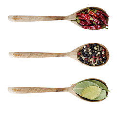 Different kinds of seasoning