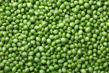 Plakat fresh green peas background