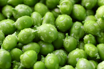 fresh green peas background
