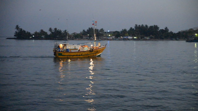 Fishing boats at the daily early morning fish market, Negombo