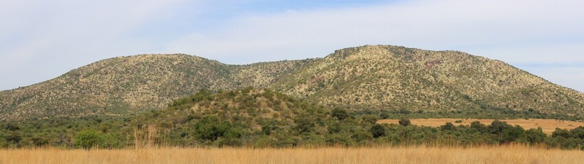 Fototapeta premium Hügellandschaft Panorama in Pilanesberg NationalPark