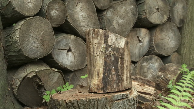 Wood Chop 24 05S CU