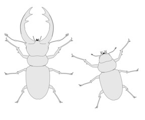 2d cartoon image of lucanus cervus
