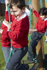 Elementary School Pupils On Climbing Equipment