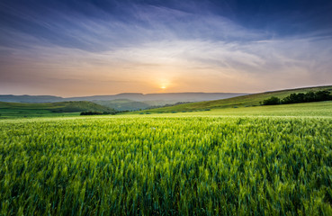 Fototapeta premium sardinia landscape