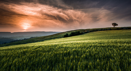 sardinia landscape