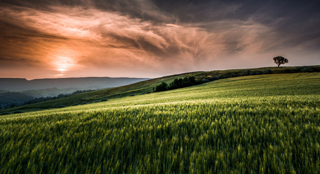 Sardinia Landscape