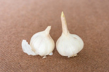 Fresh garlic