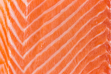 Fresh salmon uncooked fillet