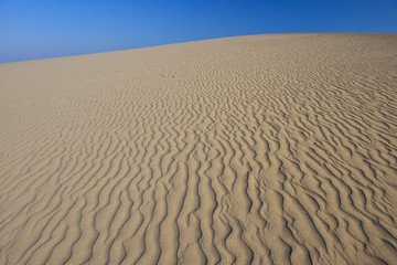 Obraz premium 鳥取砂丘の風紋と青空
