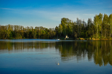 gulls on the lake fishing