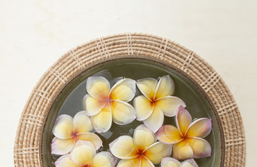 Fototapeta na wymiar Closeup fresh flower floating in the bowl background