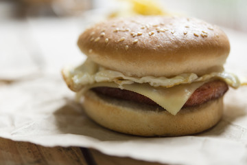 Tasty and appetizing hamburger cheeseburger