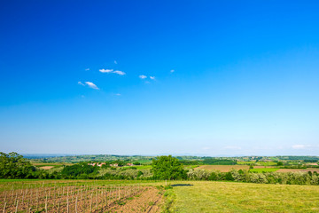 Agricultural fields in hilly landscape