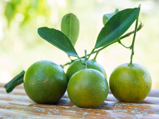 Group small green orange.They have has a sour taste.