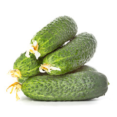 cucumbers isolated on white background