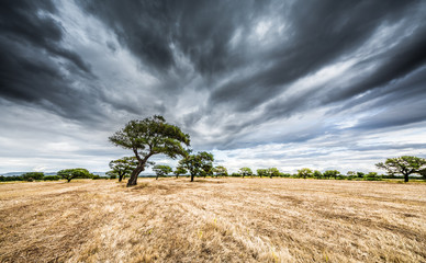 seguendo la direzione del vento