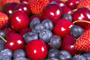 Wild berries and cherries
