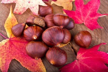 Chestnuts and autumn leaves scattered on the stump