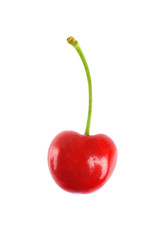 Cherry isolated on white background.