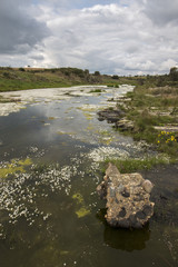 View of a beautiful scenic landscape of a fresh stream of water with white flowers in the Alentejo, Portugal.