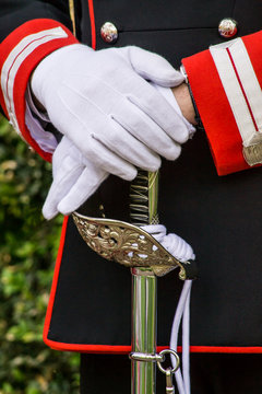 Corazziere guardia d'onore presidenziale italiana - dettaglio