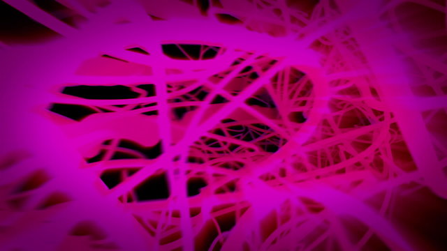 Abstract roots moving