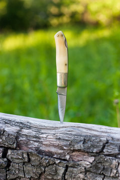 Knife stuck into a tree in forest