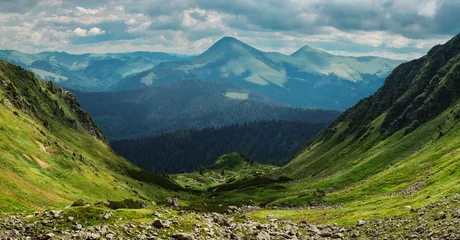 Foto op Canvas Prachtig bergdal © gilitukha