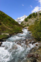 Fototapeta na wymiar Fiume Dora di Veny - Val Veny - Valle d'Aosta