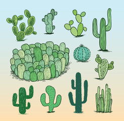 cactus collection,Vector illustration.