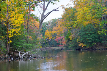 Autumn on a Maryland pond