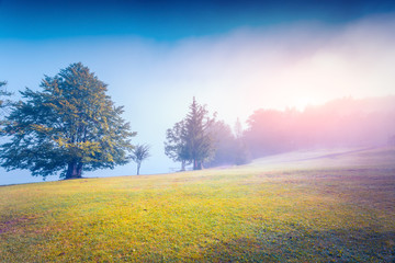 Obraz premium Foggy summer morning in the Stara Fuzina village park.