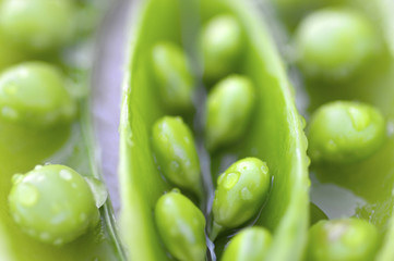 Sweet peas.