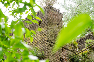 torre nella natura