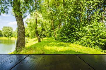 Empty wooden table with landscape background