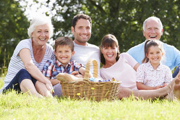 Multi Generation Family Enjoying Picnic In Countryside