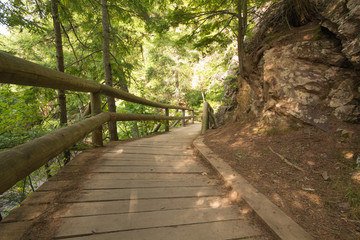 Wooden Hiking Trail