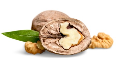 Walnut, nut, set.