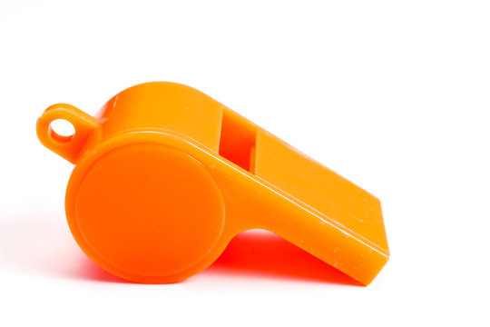 Trillerpfeife freigestellt 