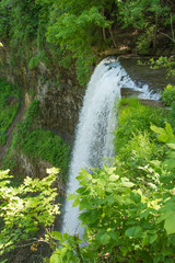 Green and Tall Waterfall