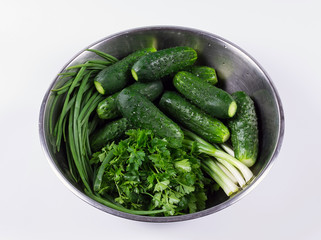 Fresh cucumbers and  herbs with drops  isolated