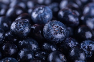 Blueberry, Fruit, Berry.