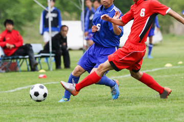 Fototapeta premium サッカー フットボール